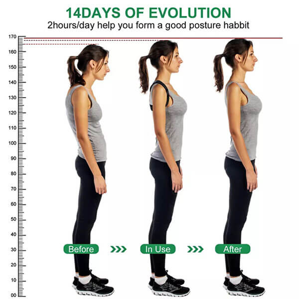Back Support Belt Brace For Men & Women
